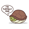 Turtle. Great. Animals. Optimistic. Funny.