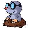 Mole
