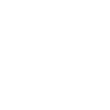 Chess King