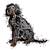 Gordon Setter