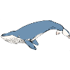 Whale