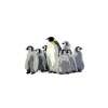 Pinguin-Vogel-Seeozean-Leben-Wassertier-Geschenk