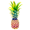 pineapple