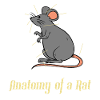 rat