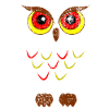 Owl bird of prey