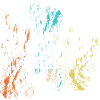 entropy