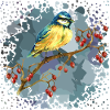 bird
