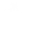 Rafting T-Shirt