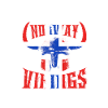 Vikings de Norvège