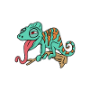 cool chameleon