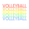 Volley-ball retro