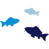 fische02
