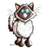 Rica Ragdoll