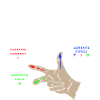 Right-hand rule physics