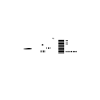 Stuttgart skyline
