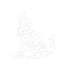Geometric Wolf
