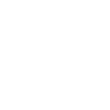 Alerta Alerta Antifaschista