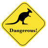 Dangerous kangaroo