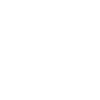 Butterfly - animal