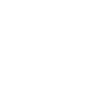 Spider - Animal - Spider
