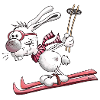 Ski Rabbit