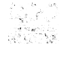 UDO