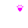 Patte de chat coeur patte