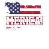America USA