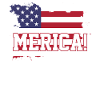 America USA flag