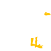 Bodensee Möwe
