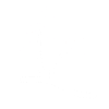 White palm beach