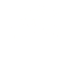 white palm