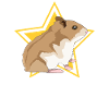 hamster