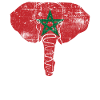 Drapeau marocain