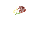 Zwiebelrostbraten