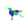 Colibri à l'aquarelle