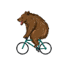 Fahrrad Bär Fahrradfahrer Winterschlaf