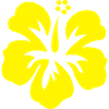 hawaii_blume