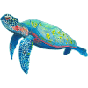 sea turtle