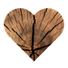 Nature wood love pattern