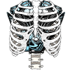 Halloween Skeleton Motorcycle Engine