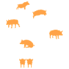 Farm Farm Gift · Pigs