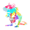 Rat gift