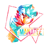 Sea cow polygon