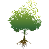 The tree of friendship