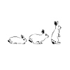 rabbit