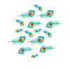Peacock plumage