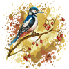 Vogelspecht