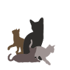 four cats dark