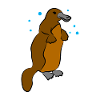 platypus